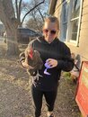 Playing with Amy's Chickens (1211518)