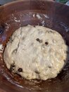 Cinnamon Raisin Sourdough (1211551)