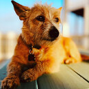 Atti Photoshoot in Bolivar (1216467)