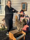 Playing with Amy's Chickens (1216054)