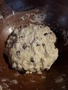 Cinnamon Raisin Sourdough (1216079)