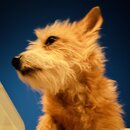 Starry Night Photoshoot with Atti (1216066)