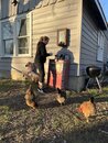 Playing with Amy's Chickens (1216113)