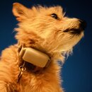 Starry Night Photoshoot with Atti (1216551)