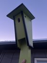 Claire Birdhouse Project (1216765)