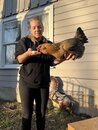 Playing with Amy's Chickens (1216741)