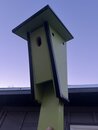 Claire Birdhouse Project (1216698)