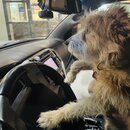 Roadtrip to Asheville Part I (1221343)