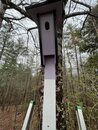 Installing Claire's Birdhouses (1221463)