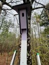 Installing Claire's Birdhouses (1221615)