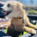 Roadtrip to Asheville Part II