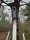 Installing Claire's Birdhouses (1221427)
