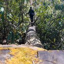 Hiking Big Ivy (1221241)