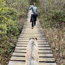 Hiking Graveyard Fills (1221169)