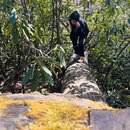 Hiking Big Ivy (1221176)