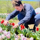 The Never Ending Flower Farm (1226127)