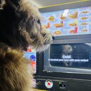 Roadtripping Back West (1228010)