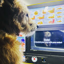 Roadtripping Back West