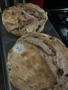 More Bread Making Adventures (1228767)