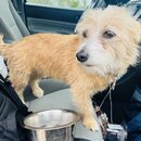 Roadtripping Back West (1228081)