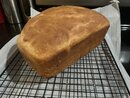 Herman Sourdough Bread (1232062)