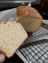 Herman Sourdough Bread (1231952)