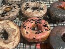 Adventures in Donuts (1232843)