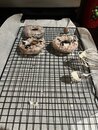 Adventures in Donuts (1232927)