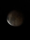 Lunar Eclipse Shots (1233544)