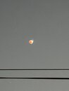 Lunar Eclipse Shots (1233556)