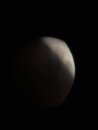 Lunar Eclipse Shots (1233579)