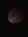 Lunar Eclipse Shots (1233524)