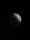 Lunar Eclipse Shots (1233637)