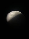 Lunar Eclipse Shots (1233531)