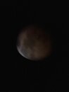Lunar Eclipse Shots (1233633)