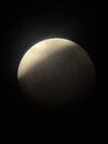 Lunar Eclipse Shots (1233608)