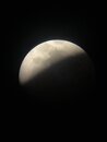 Lunar Eclipse Shots (1233553)