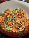 Homemade Dog Food (1236003)