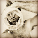 Weekend Pool Rings (1238103)