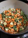 Homemade Dog Food (1236169)
