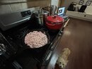 Making 13 Pounds of Dog Food (1238622)