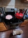Making 13 Pounds of Dog Food (1238536)