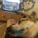 Hanging out in Weaverville