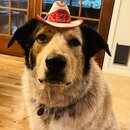 Making Skulls with Kitty and Wade (1243194)