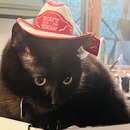 Making Skulls with Kitty and Wade (1243116)