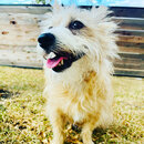 Backyard Photoshoot with Atters