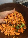 Atti's Dog Food Recipe (1245265)