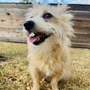 Backyard Photoshoot with Atters (1245812)