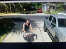 Broadmoor Porch Pirate (1251741)