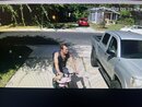 Broadmoor Porch Pirate (1251753)